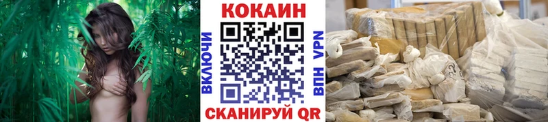 Кокаин Fish Scale  сколько стоит  Светлогорск 