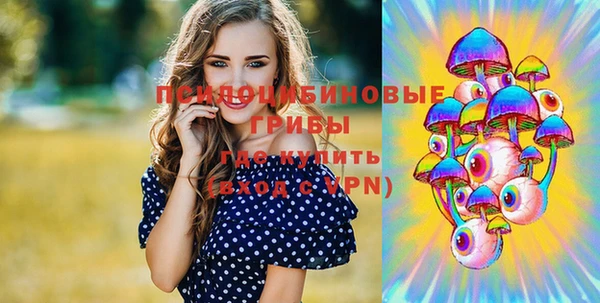 крисы Беломорск