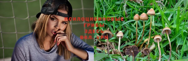 наркотики Белокуриха
