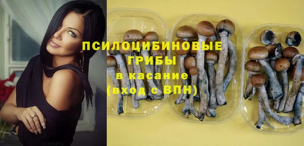 крисы Беломорск