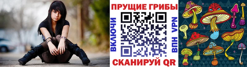 Галлюциногенные грибы MAGIC MUSHROOMS  Светлогорск 