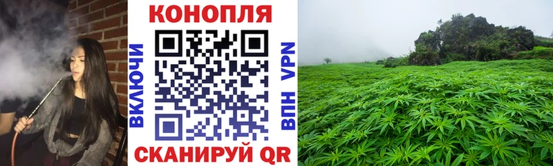 Конопля AK-47  hydra   Светлогорск  даркнет Telegram  закладки 